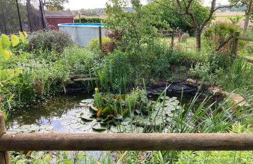 Saumur Loire chambres et gite - Photo 15
