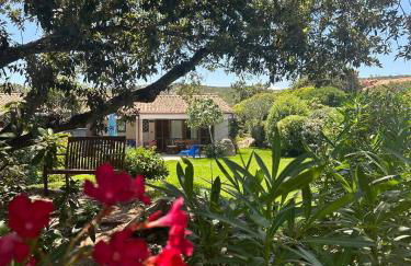 Cute Villa with pool in Palau - Foto 2