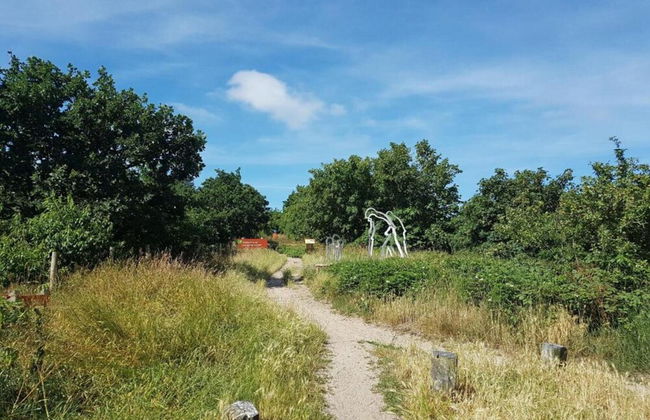 Relax Cozy Dirkshorn Stay - Photo 40