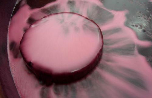 Quinta do Piloto - Foto 31