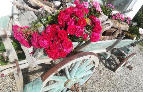 Agriturismo Malvista - Foto 31