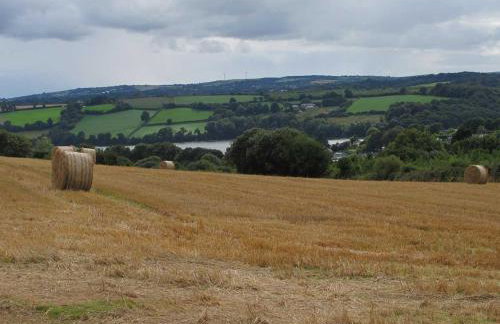 The Meadow - Photo 14