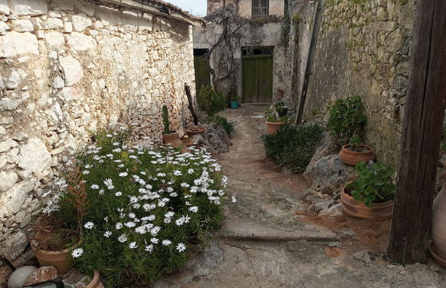 Nektarios Village House Near to Spinaloga - Foto 22