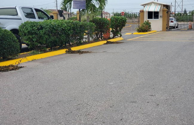 Beautiful 1-bed House in Old Harbour, Gated - Foto 22