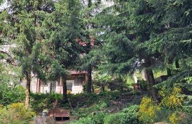 Przy pałacu - Foto 28