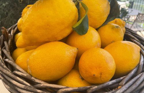 FeWo Passo-Palade - Foto 39