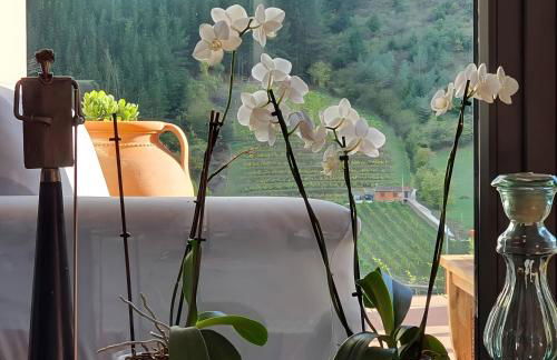 La Riega Del Peral - Foto 37