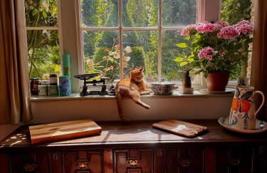 CRESSY HALL - Historic Grade II Listed Manor, Gorgeous Topiary Garden - Foto 17