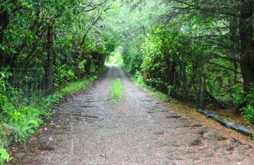 Clearwater House - Foto 41