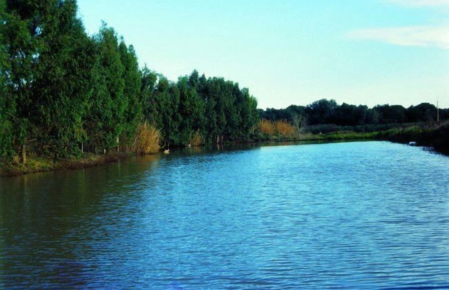 Masseria La Torre - Foto 53