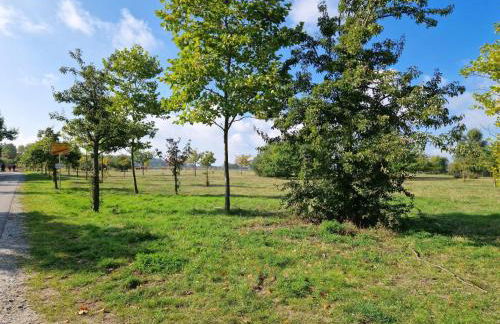 Heringsdorf, Ferienwohnung Seestern - Foto 4