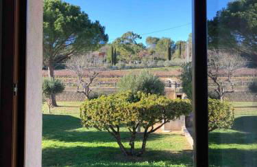 Villa Sainte Roseline -AC, Provençal Garden and BBQ - Foto 24