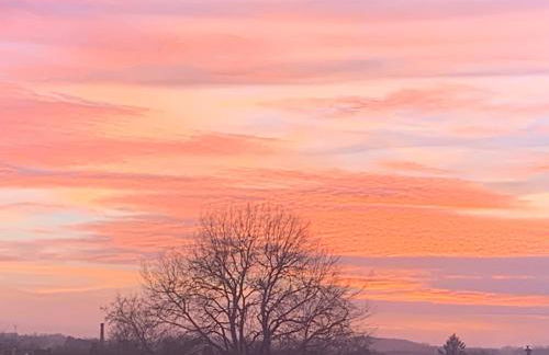 Glastonbury town centre modern apartment - Photo 13