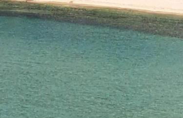 Elegance apartment - Foto 39