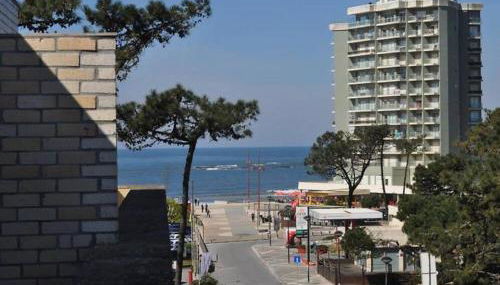 Sea and Pinewood Ofir Apartment - Foto 5