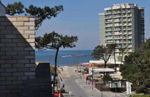 Sea and Pinewood Ofir Apartment - Foto 5