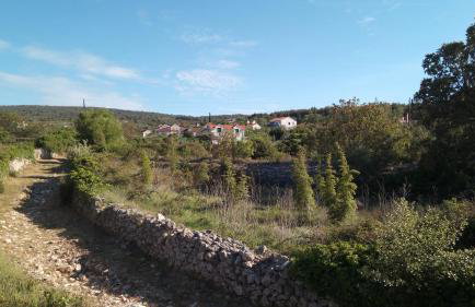 Jenny`s House - Photo 26