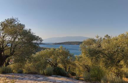 '' I FOLIA '' / ' 'LE NID '' - Foto 14