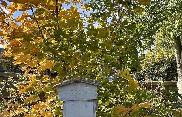 Luxury Shepherd's Hut Style Cabin With Views - Photo 18