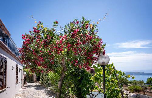 casa aniello - Photo 7