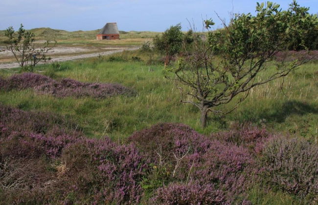 Apartment in De Koog With Free Parking - Foto 33