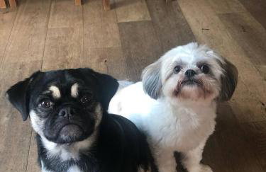 Groombridge 1 Bed self catered flat, can sleep 4 - Foto 11