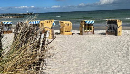 Meeresrauschen - Foto 3