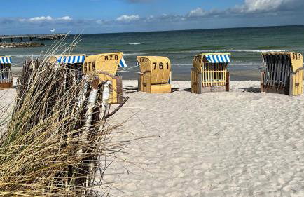 Meeresrauschen - Foto 3