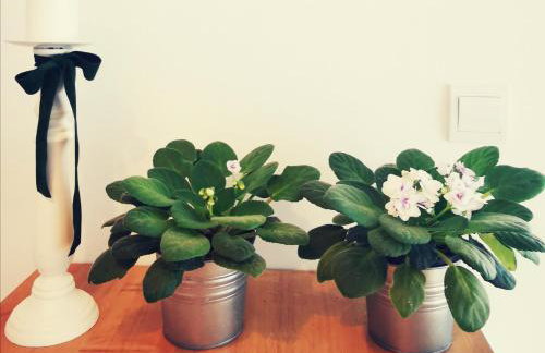 Boutique Apartment Lola - Foto 17