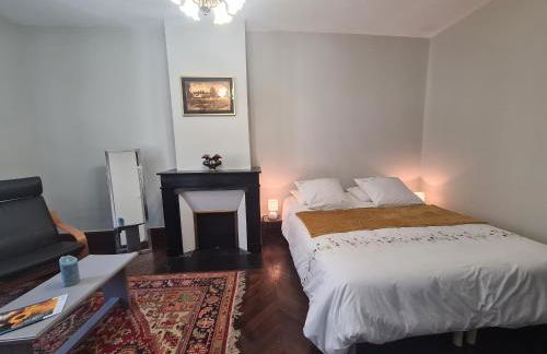 Maison confortable près des Châteaux de la Loire et Zoo de Beauval avec cour et parking privé - FR-1-591-367 - Foto 14