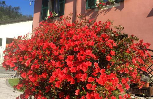 Il Ghiretto Appartamento - Photo 9