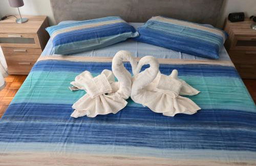 MARCO'S HOUSE - Foto 6