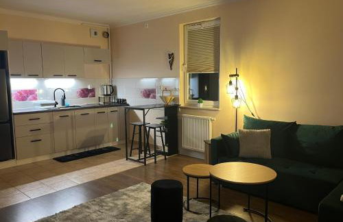 Apartament Wiktoria Zawiercie - Foto 13