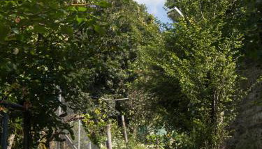 Chariklia Traditional House - Photo 4