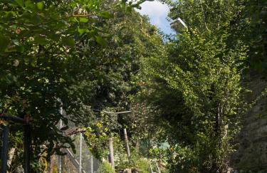 Chariklia Traditional House - Photo 4