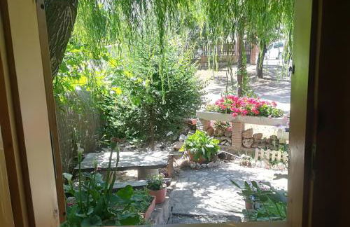 Cabañas los Pinos Arroyo Frio - Foto 29