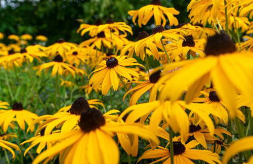 Gäste- und Appartementhaus Roswitha Huber - Foto 17