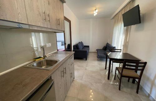 Theano Studios - Foto 77