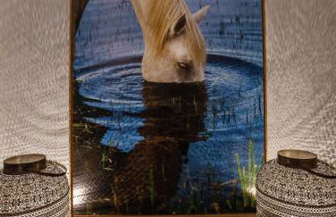 Villa Carlota - Photo 116