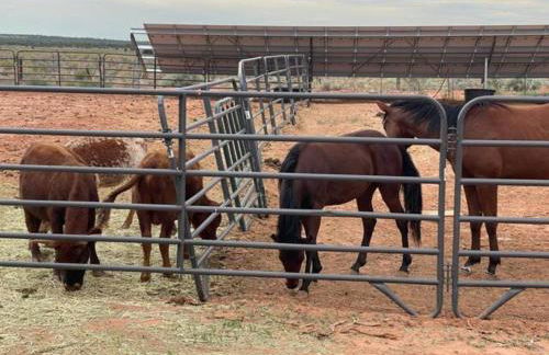 Denim and Diamonds - Foto 27