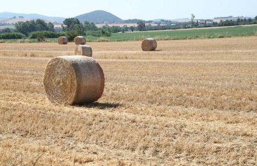 Il Nido di Giulia - Foto 28