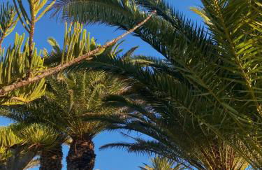 Casa Ronda - Foto 11