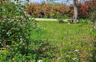 Da Nella Dimora di Campagna - Maison à Porter - Foto 58