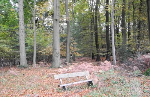 Ferienwohnung Meyenburg - Foto 23