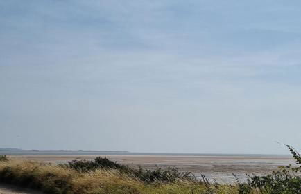 1 Sunset View - Foto 60