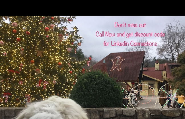 Mountain of Dreams At Lavista Cove - Foto 14