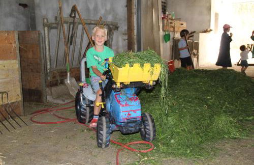 Spisserhof - Photo 34