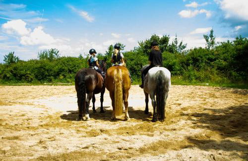 Meislahnhof Fehmarn - Foto 69