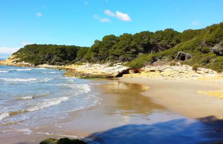 House TAMARIT PLAYA - Foto 39