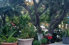 Petroula Apartments II - Photo 46